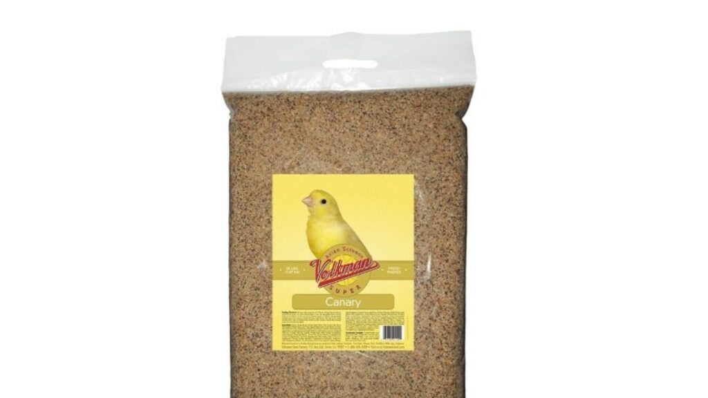Volkman bird food